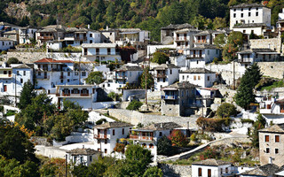 ΚΑΣΤΑΝΙΤΣΑ ΑΡΚΑΔΙΑΣ