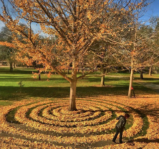 sfysftys10 sfysftys10