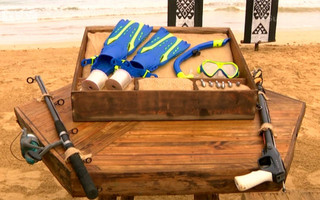 SURVIVOR 2