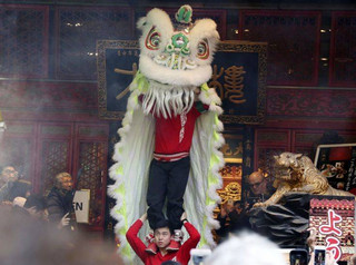 Lion dancers perform as they celebrate the Chinese Lunar New Year, parading through China Town in Yokohama, near Tokyo Friday, Feb. 16, 2018. (AP Photo/Koji Sasahara)