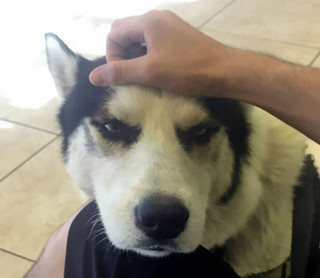 jketwrkjtb6