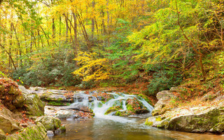 Great Smoky Mountains ΗΠΑ