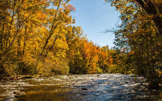 Great Smoky Mountains ΗΠΑ