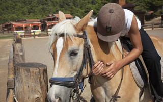 Ranch11