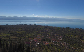 ΤΡΙΧΟΝΙΔΑ