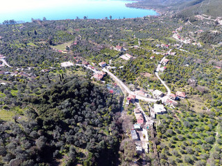ΤΡΙΧΟΝΙΔΑ