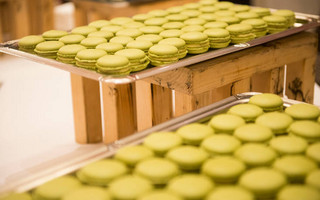 Puratos Macaron