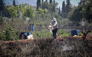 ΠΥΡΚΑΓΙΑ ΑΛΣΟΣ ΣΥΓΓΡΟΥ