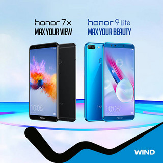 WIND_Honor1