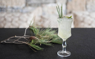 nice_n_easy_Astir-Pine-Needle