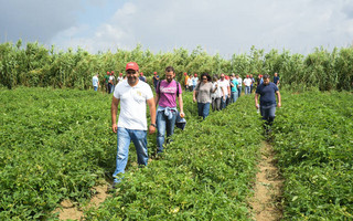 pummaro12