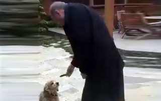 Ο Ερντογάν δίνει «σόου» και ένα αγγούρι σε σκυλί