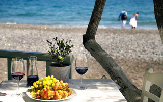 vassilikos3_ok