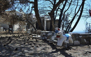 Φωτιά στο Μάτι Φωτιά στο Μάτι
