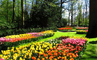 Το «Πάρκο Λουλουδιών» στην Ολλανδία μάγεψε τους καθολικούς