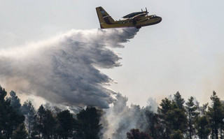 Φωτιά τώρα σε δάσος στην Κυπαρίσσια Μεγαλόπολης