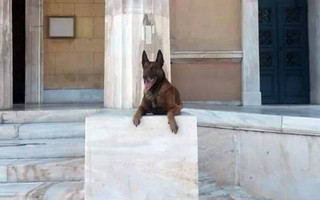 Το συγκινητικό «αντίο» της ΕΛ.ΑΣ. στον αστυνομικό σκύλο Άρη