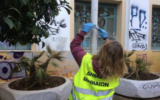 Μεγάλη παρέμβαση καθαριότητας του Δήμου Αθηναίων στην περιοχή του Ψυρρή