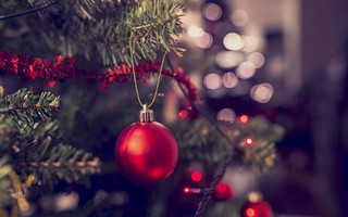 Παγώνη: Ξεχάστε ρεβεγιόν Χριστούγεννα και Πρωτοχρονιά  &#8211; Αλλαγή χρονιάς μόνοι μας