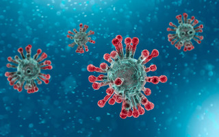 Ο ιός SARS-CoV-2