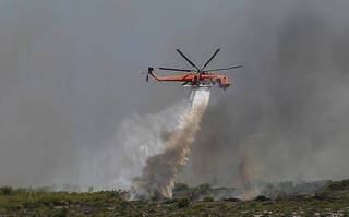 Φωτιά στο Πεταλίδι: Εντολή για εκκένωση οικισμού από την Πυροσβεστική