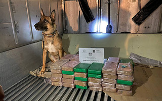 ΑΑΔΕ: Εντόπισε 70 κιλά κοκαΐνη μέσα σε φορτίο με «μπανάνες»