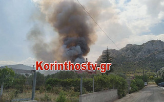 Φωτιά στις Κεχριές: Σπεύδει εκτάκτως ο Νίκος Χαρδαλιάς &#8211; Τεράστια επιχείρηση της Πυροσβεστικής