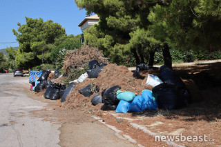 Αυτοψία του newsbeast.gr στα Βόρεια Προάστια: Ποιοι δήμοι είναι καθαροί από ξερόχορτα, πού εντοπίσαμε πρόβλημα