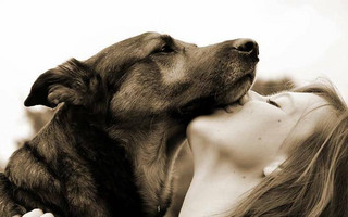 Εκπαιδευτής σκύλων: ένα ονειρικό επάγγελμα