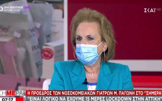 Παγώνη: Οι τρεις παράγοντες που θα καθορίσουν το lockdown