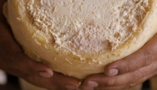 Casu marzu, το πιο επικίνδυνο τυρί στον κόσμο
