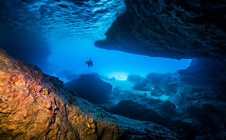 Μυστηριώδες θαλάσσιο πλάσμα τεσσάρων τόνων και επτά μέτρων ξεβράστηκε σε παραλία