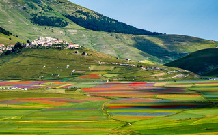 Η ιταλική κοιλάδα που κάθε χρόνο μετατρέπεται σε μια πολύχρωμη «θάλασσα» από αγριολούλουδα