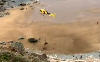 Ταύρος 800 κιλών εγκλωβίστηκε σε παραλία στην Ισπανία &#8211; Χρειάστηκε ελικόπτερο για τη διάσωσή του