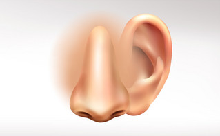 Γιατί η μύτη και τα αυτιά δεν σταματάνε να μεγαλώνουν ποτέ