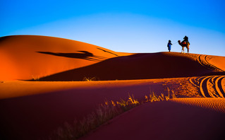 Τα μυστικά της ερήμου Σαχάρα που θα σας εκπλήξουν