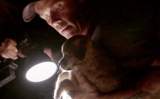 «Ο Νταγκ σε Διάσωση»: O χειριστής drone που σώζει ζώα σε ζώνες καταστροφής