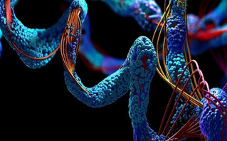 Επανάσταση στην ιατρική: Τεχνητή νοημοσύνη προβλέπει τη δομή των πρωτεϊνών στο ανθρώπινο σώμα