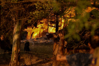 Φωτιά στην Αττική: «Τραγική και έκρυθμη» χαρακτηρίζει την κατάσταση ο Δήμαρχος Διονύσου