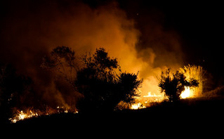 Φωτιά σε Εύβοια και Αρχαία Ολυμπία: Κάηκαν σπίτια και εκκενώθηκαν χωριά &#8211; Πλησιάζουν τον αρχαιολογικό χώρο οι φλόγες