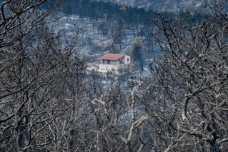 πυρόπληκτοι πυρόπληκτοι
