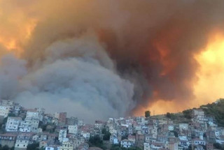 Φονικές πυρκαγιές στην Αλγερία: τέσσερις νεκροί και τρεις τραυματίες στα πύρινα μέτωπα