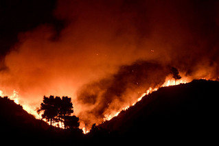 Ζερεφός: Απαιτείται μία πανευρωπαϊκή λύση για την αντιμετώπιση των πυρκαγιών