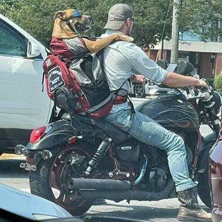 Τα πολλά και παράξενα των δρόμων