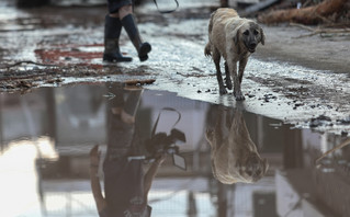 Κακοκαιρία στην Εύβοια Κακοκαιρία στην Εύβοια