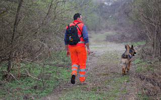 rescuer with dog in search