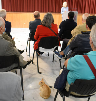 Μια γάτα στην ομιλία της Γεννηματά στο Ίλιον Μια γάτα στην ομιλία της Γεννηματά στο Ίλιον