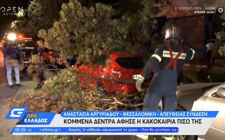Κακοκαιρία «Αθηνά»: Ζημιές σε αυτοκίνητα στη Θεσσαλονίκη από πτώσεις δέντρων
