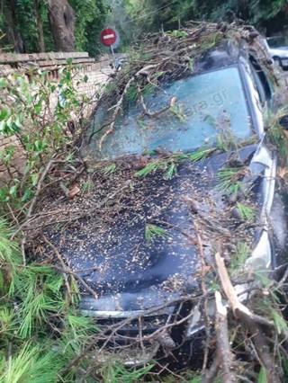 Δέντρο έπεσε σε αυτοκίνητο στην Κέρκυρα