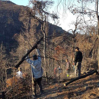 Πάνω από 700 δασεργάτες στις πυρόπληκτες περιοχές της Βόρειας Εύβοιας